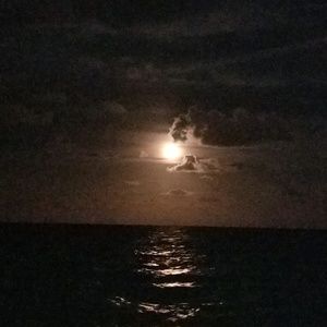 Meet your Posher, Jazmin